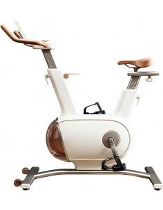 copy of Indoor bike Bestia...