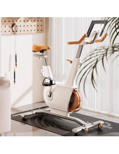 Bicicleta indoor Sophy 2