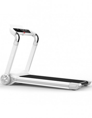 Treadmill FH 602